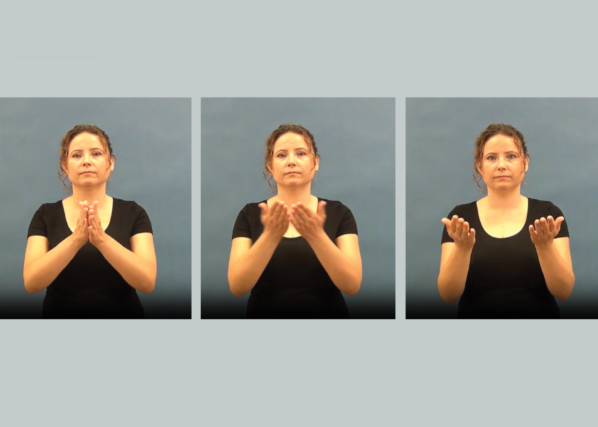 14. Researching Books: The Polish Deaf and Their Language